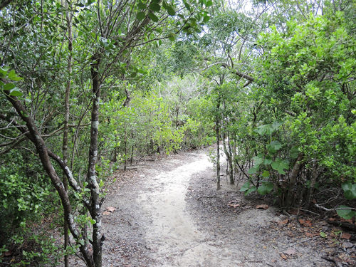 Lucayan National Park