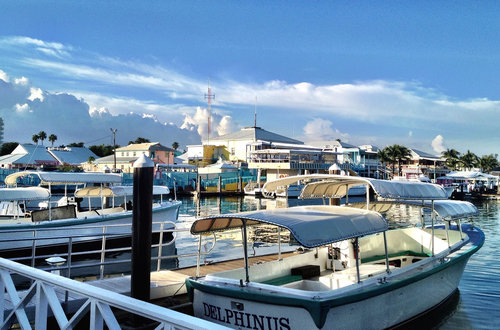 Port Lucaya Marina