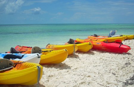 Guided Kayak Eco Tour