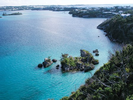 Cockroach Island Bermuda