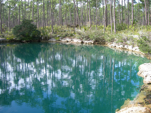 Sawmill Blue Hole Abaco