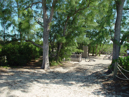 Castaway Cay Biking