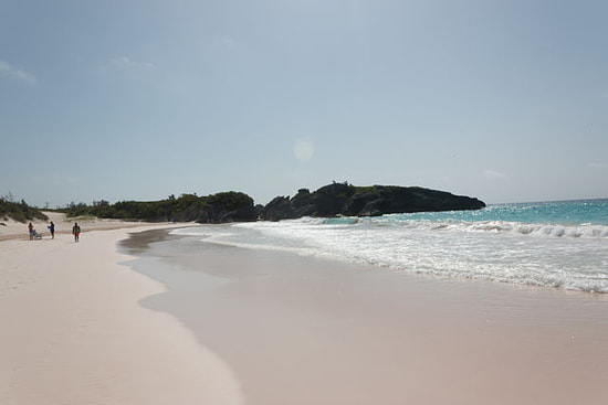 Horseshoe Bay Beach Bermuda