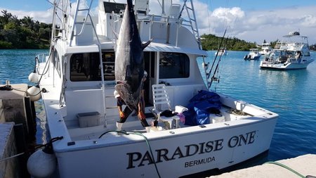 Paradise One Fishing Boat