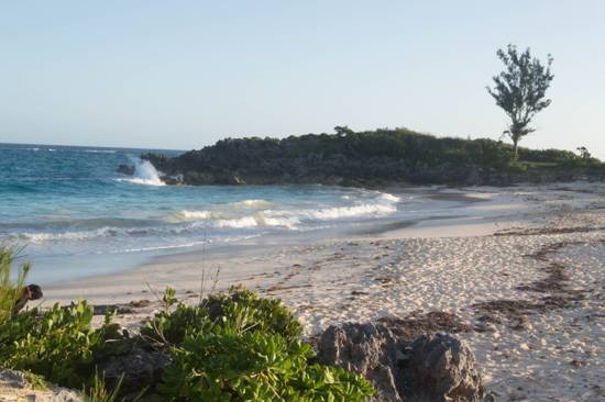 John Smiths Bay Bermuda