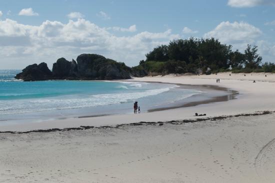 Horseshoe Bay Beach Bermuda