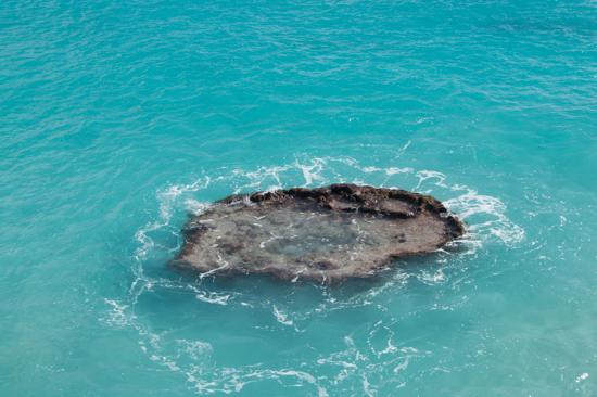 Boiler Reef Bermuda